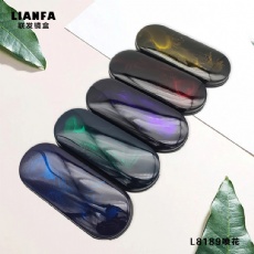 Eyeglass case with spray-painted pearlescent baking finish